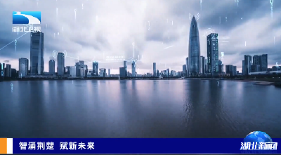 智涌荆楚 赋新未来 | 湖北：织密“算网存用”协同网 赋能千行百业