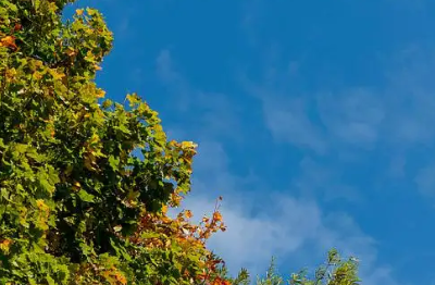 双休日湖北多云为主 仅这些地方有雨雪出没......