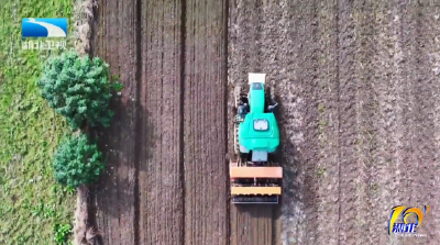 湖北秋播进度近八成