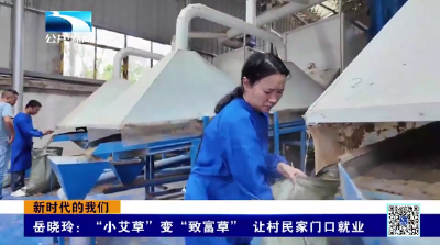 新时代的我们 | 岳晓玲：“小艾草”变“致富草” 让村民家门口就业