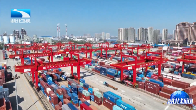 2025年11月9日湖北新闻