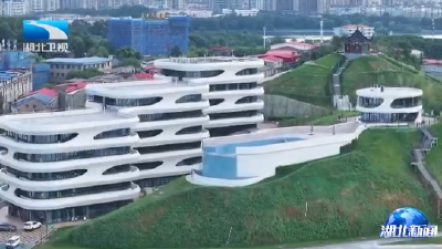 智涌荆楚 赋新未来丨湖北：打造AI人才“强磁场”  激活产业新引擎