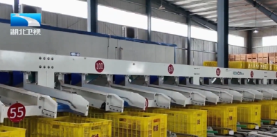 “双十一”消费观察 | 湖北生鲜热销 物流铁路齐发力直送全国餐桌