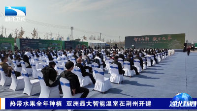 热带水果全年种植 亚洲最大智能温室在荆州开建
