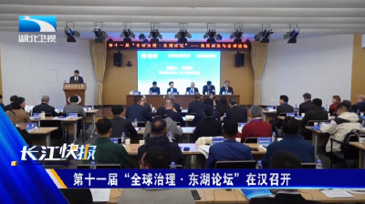 第十一届“全球治理·东湖论坛”在汉召开