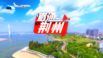 直通荆州 | 回望“十四五” “荆”彩新答卷