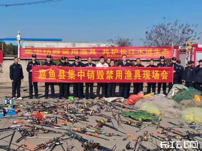 江豚逐浪簰洲湾，长航武汉公安守护长江生态显成效