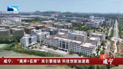咸宁：“离岸+在岸”双引擎驱动 科技创新加速跑