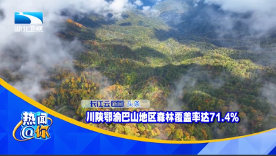 川陕鄂渝巴山地区森林覆盖率达71.4% 