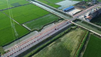 潜江：铺就乡村振兴“幸福路”——张金镇推进“四好农村路”建设纪实