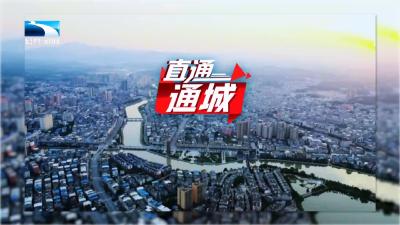 直通通城 | 加快打造绿色高端区域性制造业强县