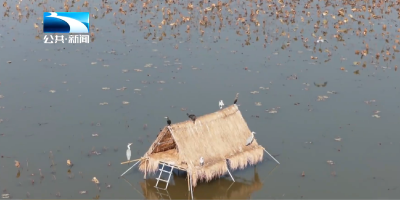 2025年11月30日长江新闻