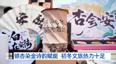 湖北安陆：银杏染金诗韵赋能 初冬文旅热力十足