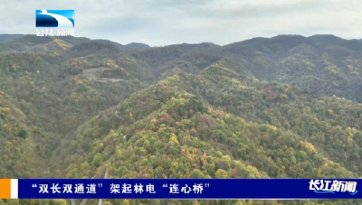 神农架：“双长双通道”架起林电“连心桥”