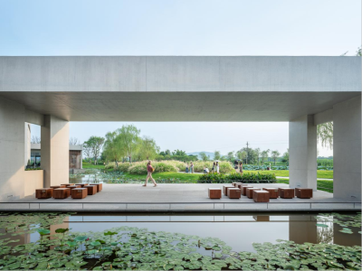 大国小村丨古村颜值天花板！看塱头如何用“集体智慧”成为网红爆款打卡地