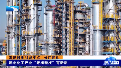牢记嘱托 建成支点·长江巡礼丨湖北化工产业“老树新枝”育新质