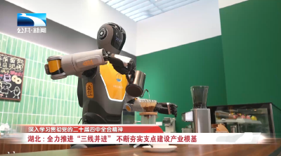 深入学习贯彻党的二十届四中全会精神 | 湖北：全力推进“三线并进”  不断夯实支点建设产业根基