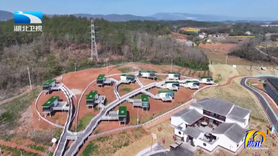 2025年11月6日湖北十分