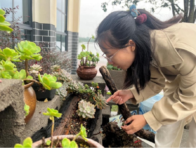 Z世代小村梦想家|95后女孩为千亩农场重置振兴“代码”