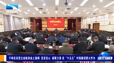 宁咏在民营企业座谈会上强调 坚定信心 凝聚力量 在“十五五”时期展现更大作为
