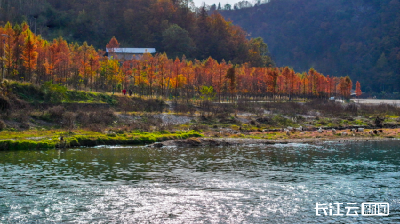 藏不住的初冬美！郧西刘家湾村成游客新晋打卡地