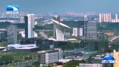 2025年11月10日湖北新闻