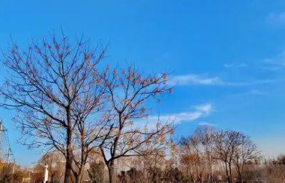 今明湖北天晴朗升温 西部后天雨雪扰气温降
