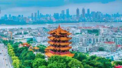 且听九头神鸟九头鸣