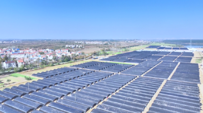 湖北孝昌：亩产值3万元！“冬闲田”种出“软黄金”