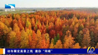 初冬限定美景上线 邀你“同框”