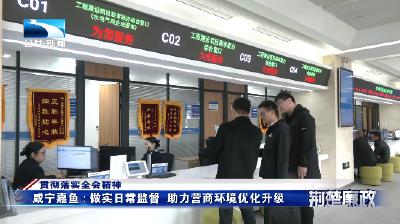 贯彻落实全会精神丨咸宁嘉鱼：做实日常监督 助力营商环境优化升级