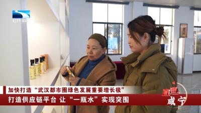 咸宁：打造供应链平台 让“一瓶水”实现突围