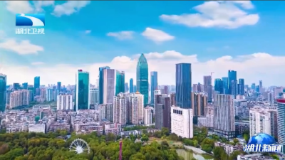 奋进“十五五”·厅局长访谈丨湖北省民政厅厅长李丽：全力打造现代化民政 助力夯实支点建设民生底板