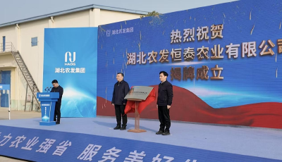 “股权投资”助力湖北江汉大米产业再升级