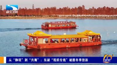 从“静观”到“共舞”：东湖“观鸥专线”破题冬季旅游