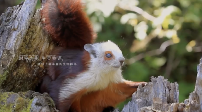 神农架国家公园