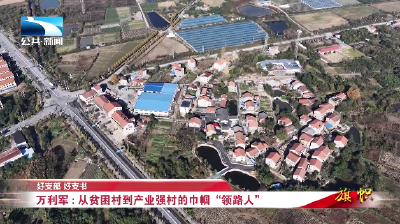 好支部 好支书 | 万利军：从贫困村到产业强村的巾帼“领路人”