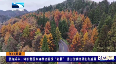 恩施咸丰：坪坝营国家森林公园披“彩装” 漫山斑斓绘就初冬盛景