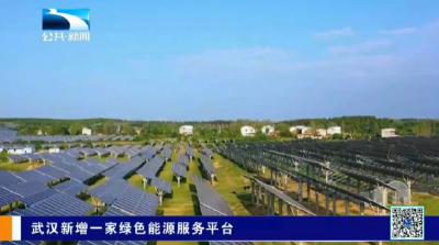 武汉新增一家绿色能源服务平台