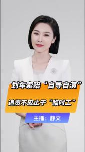 直播微视评：划车索赔“自导自演”，追责不应止于“临时工”