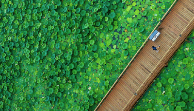 建议收藏！这套日历藏着大美中国