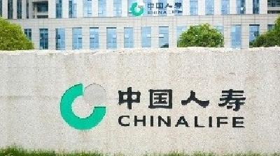 个人养老金全面实施一周年：中国人寿以保险之力 让“老有所养”民生承诺落地生根