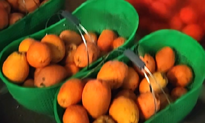 无人机天上巡，德牧犬后面追！宜昌“1元1斤偷橙子”火了