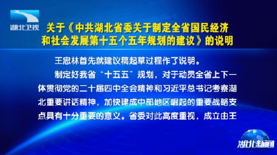 关于《中共湖北省委关于制定全省国民经济和社会发展第十五个五年规划的建议》的说明