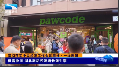 贯彻落实中央经济工作会议精神·一线调研 | 供需协同 湖北激活经济增长强引擎