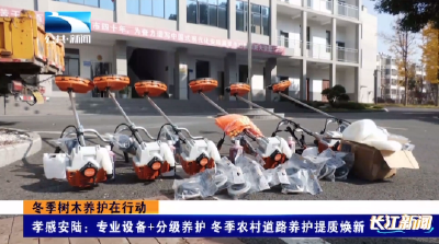 孝感安陆：专业设备+分级养护 冬季农村道路养护提质焕新
