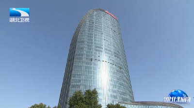 王艳玲赴武汉市开展调研