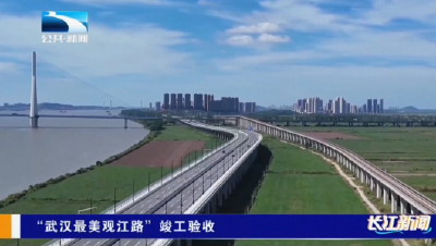 “武汉最美观江路”竣工验收