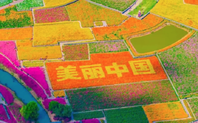 三大区域美丽中国先行区建设行动方案印发实施