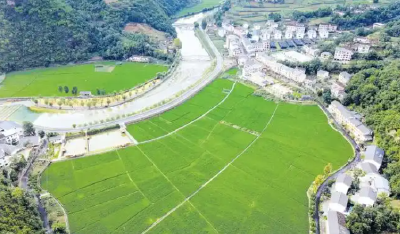 一村蝶变 千村和美